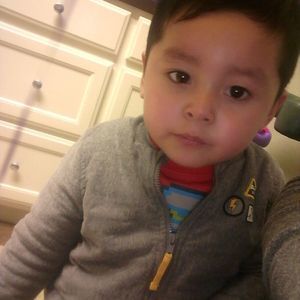 Meet your Posher, Daisy